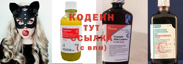 ПСИЛОЦИБИНОВЫЕ ГРИБЫ Бородино