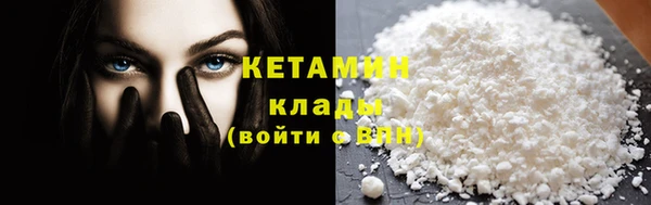 ПСИЛОЦИБИНОВЫЕ ГРИБЫ Бородино