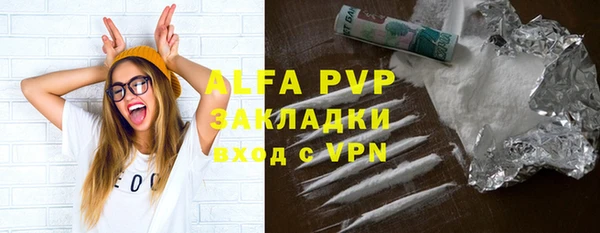 ПСИЛОЦИБИНОВЫЕ ГРИБЫ Бородино